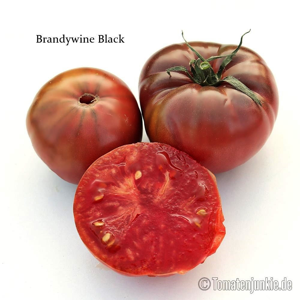 Brandywine Black Tomaten Samen alte süße Fleischtomaten Sorte aus den USA 