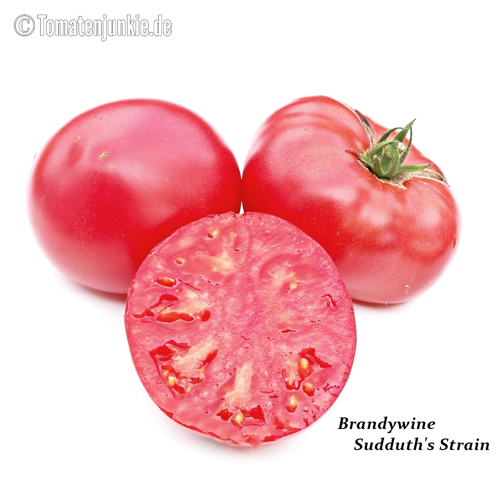 Tomato - Brandywine (Sudduth's Strain)