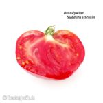 Brandywine Sudduth's Strain • Sortenbeschreibung • Tomatenjunkie