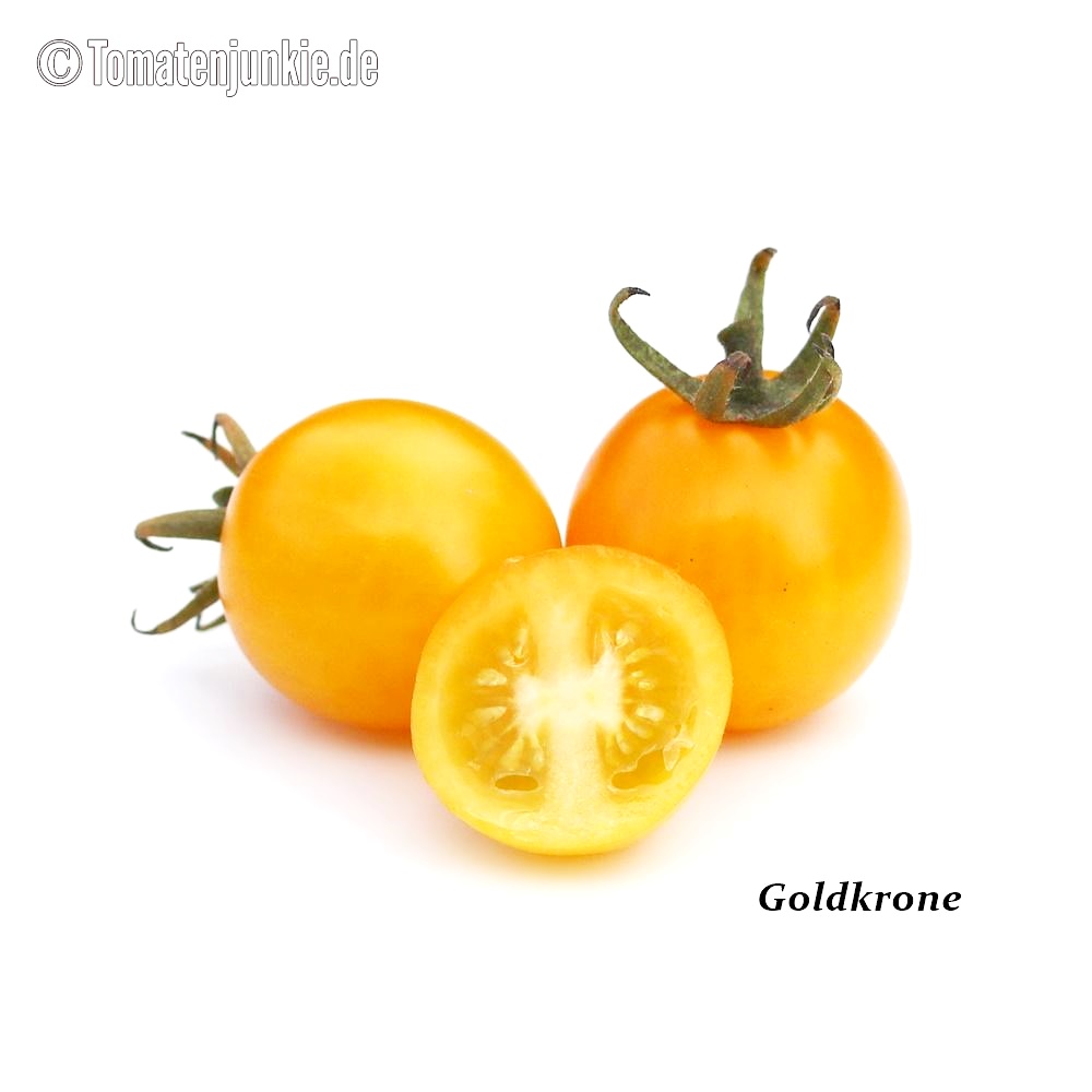 Goldkrone • Saatgut • Tomatenjunkie