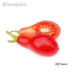 Tomatensorte Elf Tears