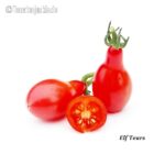 Tomatensorte Elf Tears