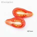 Tomatensorte Elf Tears