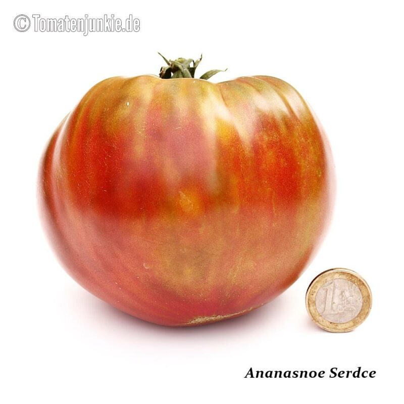 Tomatensorte Ananasnoe Serdce